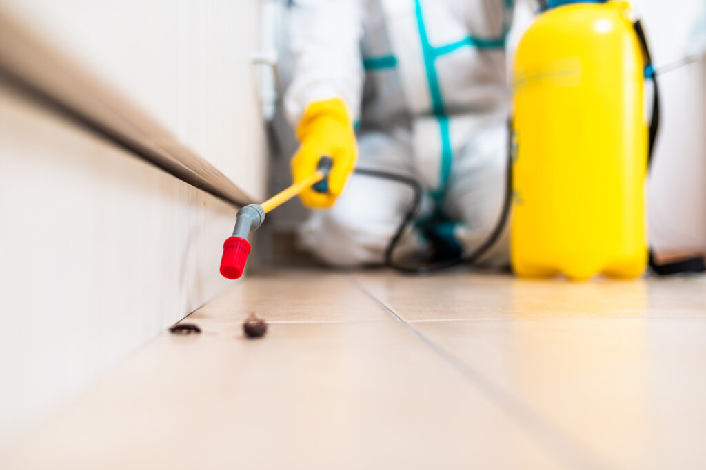 North Ridgeville Cockroach Experts