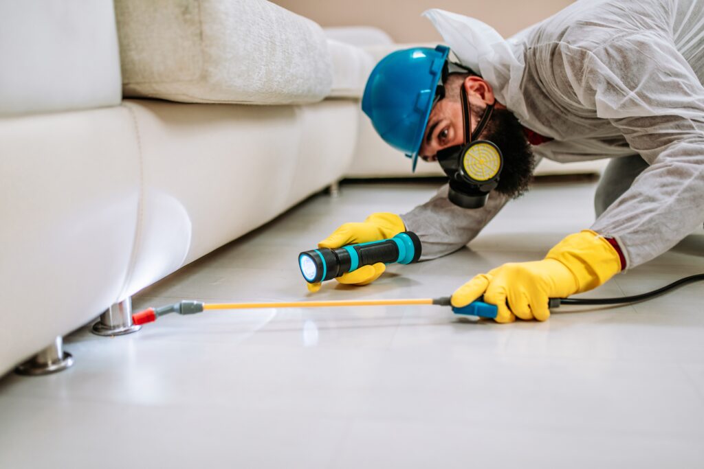North Ridgeville Termite Control